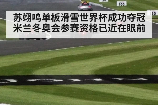 苏翊鸣单板滑雪世界杯成功夺冠 米兰冬奥会参赛资格已近在眼前