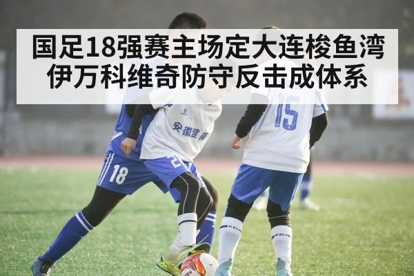 国足18强赛主场定大连梭鱼湾 伊万科维奇防守反击成体系